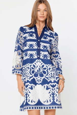 Lace Embroidered Mini Dress